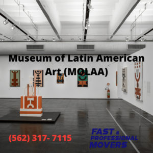 Museum of Latin American Art (MOLAA) .